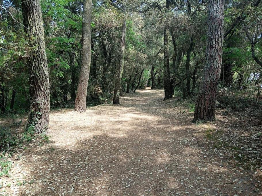 Talmont-Saint-Hilaire Studio Au Coeur Du Golf De Port Bourgenay, Proche Des Sables D'Olonne מראה חיצוני תמונה