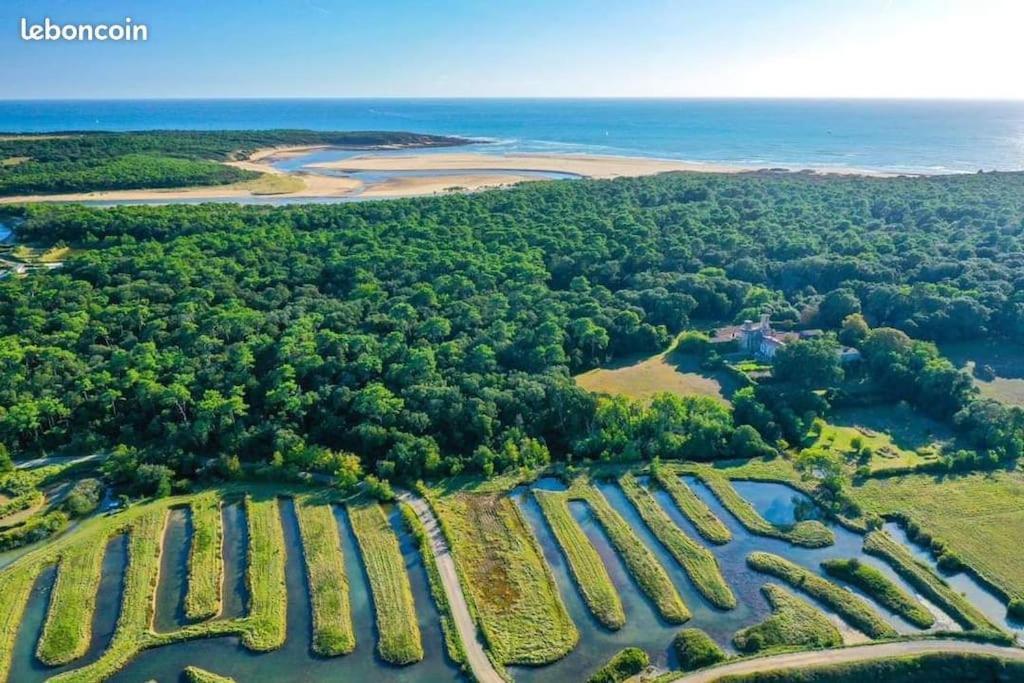 Talmont-Saint-Hilaire Studio Au Coeur Du Golf De Port Bourgenay, Proche Des Sables D'Olonne מראה חיצוני תמונה